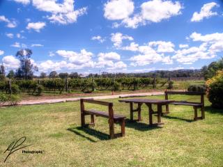 A nice vineyard shot from the Lovedale area in New South Wales' Hunter Valley region.