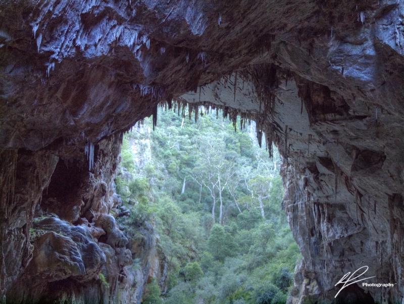 Another view of one of the lergest caves in the Jenolan caves complex north of ulburn, in New South Wales.