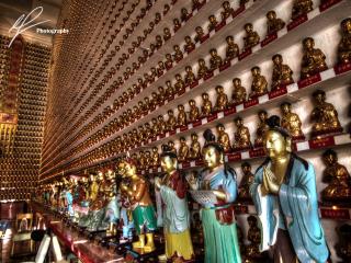 Only a little ways north from Hong Kong, heading towards Mainland China, there is a temple which is host to 10,000 Buddha statues.