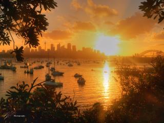 A nice panoramic view of Sydney Harbour on New Year's Eve in 2007.